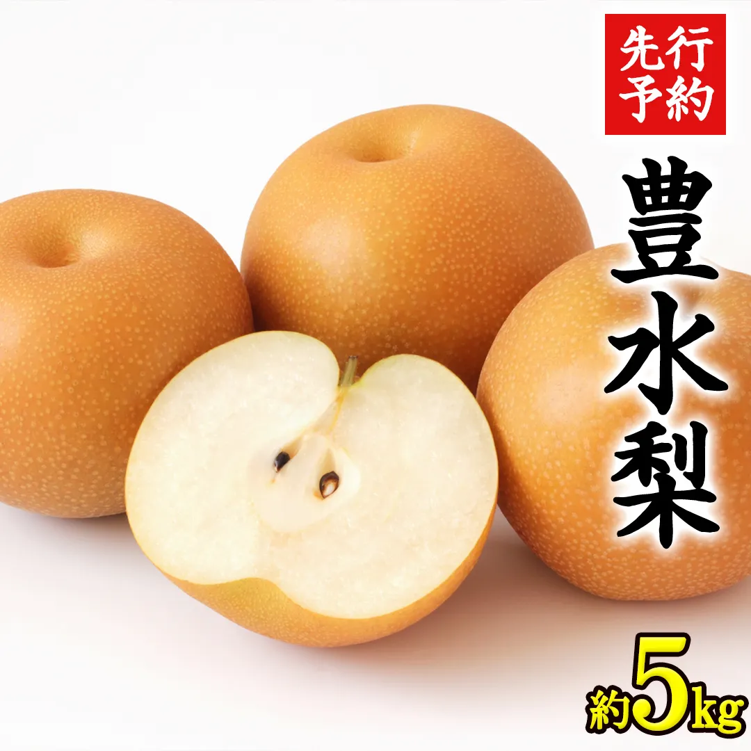 《 先行予約 》 茨城県産 梨 豊水 （約 5kg）【 2026年 9月上旬頃より発送開始 】 梨 なし 果物 フルーツ 新鮮 旬 期間限定 甘い 国産