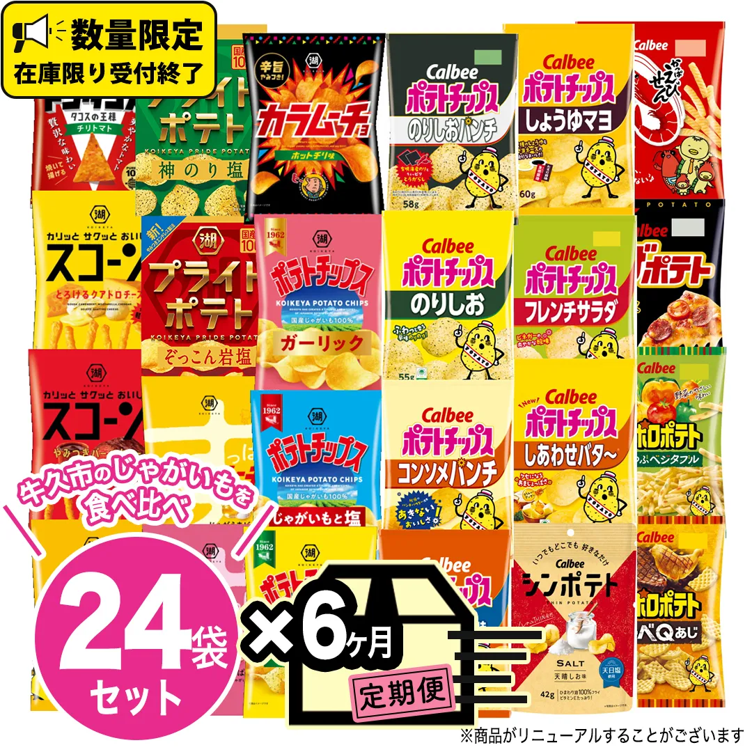 【 6ヶ月 連続 定期便 】 カルビー 湖池屋 人気 24種 詰め合わせ お楽しみ 24袋 スナック菓子 セット カルビー 湖池屋 ポテトチップス ポテチ お菓子 おかし 大量 スナック おつまみ ジャガイモ じゃがいも まとめ買い Calbee ポテト おまかせ 定期便 頒布会 数量限定