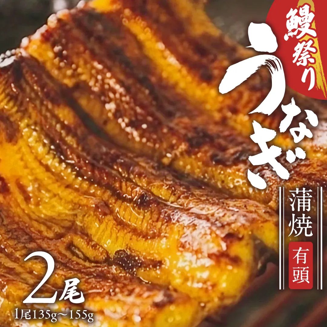 【牛久うなぎ祭り開催！期間限定の特別受付スタート】鹿児島県産 有頭 鰻 蒲焼 × 2尾 （ 1尾 135g ～ 155g 以上） 土用の丑の日 鰻祭りうなぎ ウナギ 土用丑の日 家庭用 贅沢 国産 旬 敬老の日 タレ 山椒 付 縁起