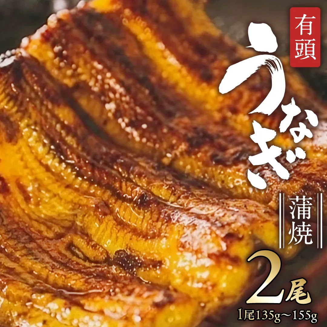 鹿児島県産 有頭 鰻 蒲焼 × 2尾 （ 1尾 135g ～ 155g 以上） 土用の丑の日 鰻祭りうなぎ ウナギ 土用丑の日 家庭用 贅沢 国産 旬 敬老の日 タレ 山椒 付 縁起
