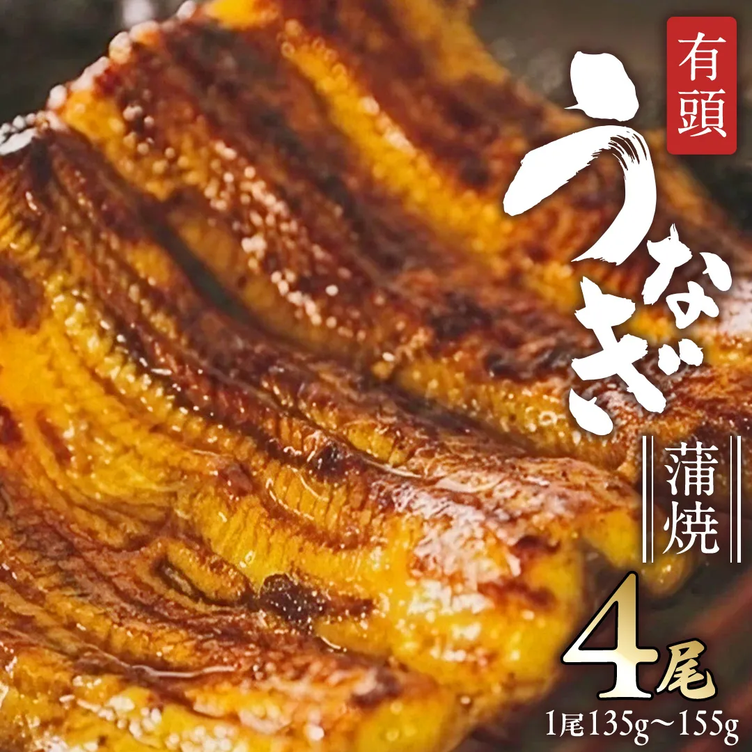 鹿児島県産 有頭 鰻 蒲焼 × 4尾 （ 1尾 135g ～ 155g 以上） 土用の丑の日 鰻祭りうなぎ ウナギ 土用丑の日 家庭用 贅沢 国産 旬 敬老の日 タレ 山椒 付 縁起