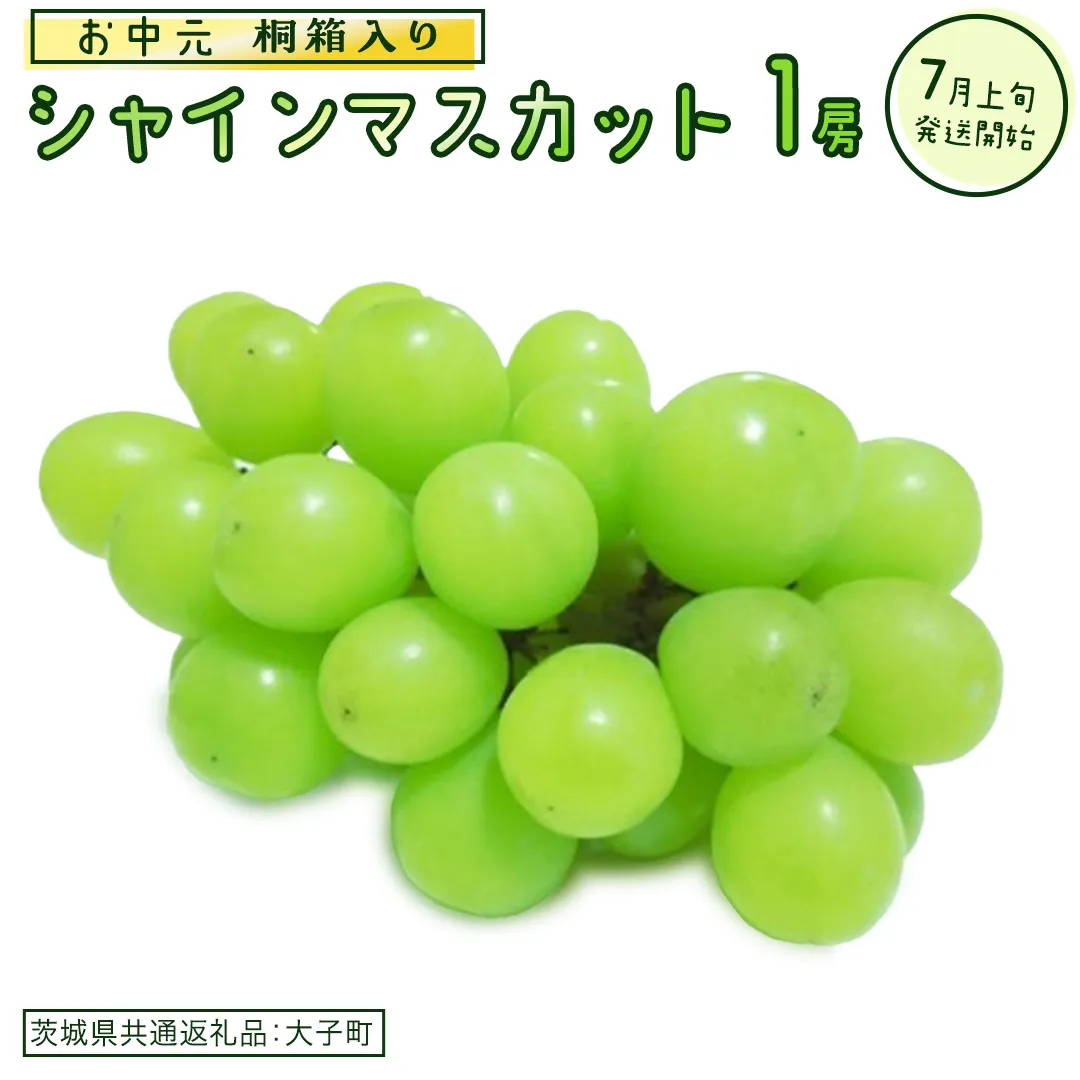 【 お中元 桐箱入り】 シャインマスカット １房 【2026年7月上旬発送開始】(茨城県共通返礼品：大子町) ぶどう 葡萄 マスカット フルーツ 果物 贈答用 ギフト 贈り物