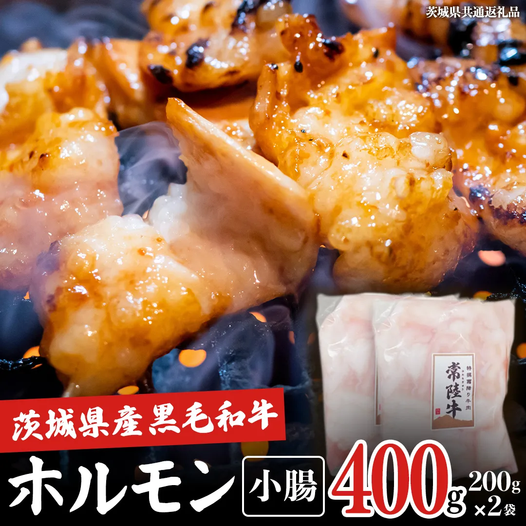 【茨城県産】 黒毛和牛 もつ鍋 焼肉用 小腸 400g（200g×2パック） (茨城県共通返礼品) 国産 牛肉 肉 お肉 ホルモン もつ 和牛 小腸 ホルモン 味付き 味付ホルモン タレ漬け 焼肉 BBQ 小分け 冷凍 料理 簡単