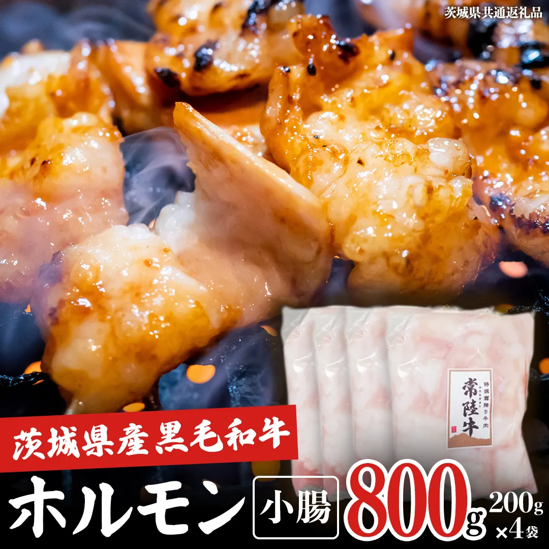 【茨城県産】 黒毛和牛 もつ鍋 焼肉用 小腸 800g（200g×4パック） (茨城県共通返礼品) 国産 牛肉 肉 お肉 ホルモン もつ 和牛 小腸 ホルモン 味付き 味付ホルモン タレ漬け 焼肉 BBQ 小分け 冷凍 料理 簡単