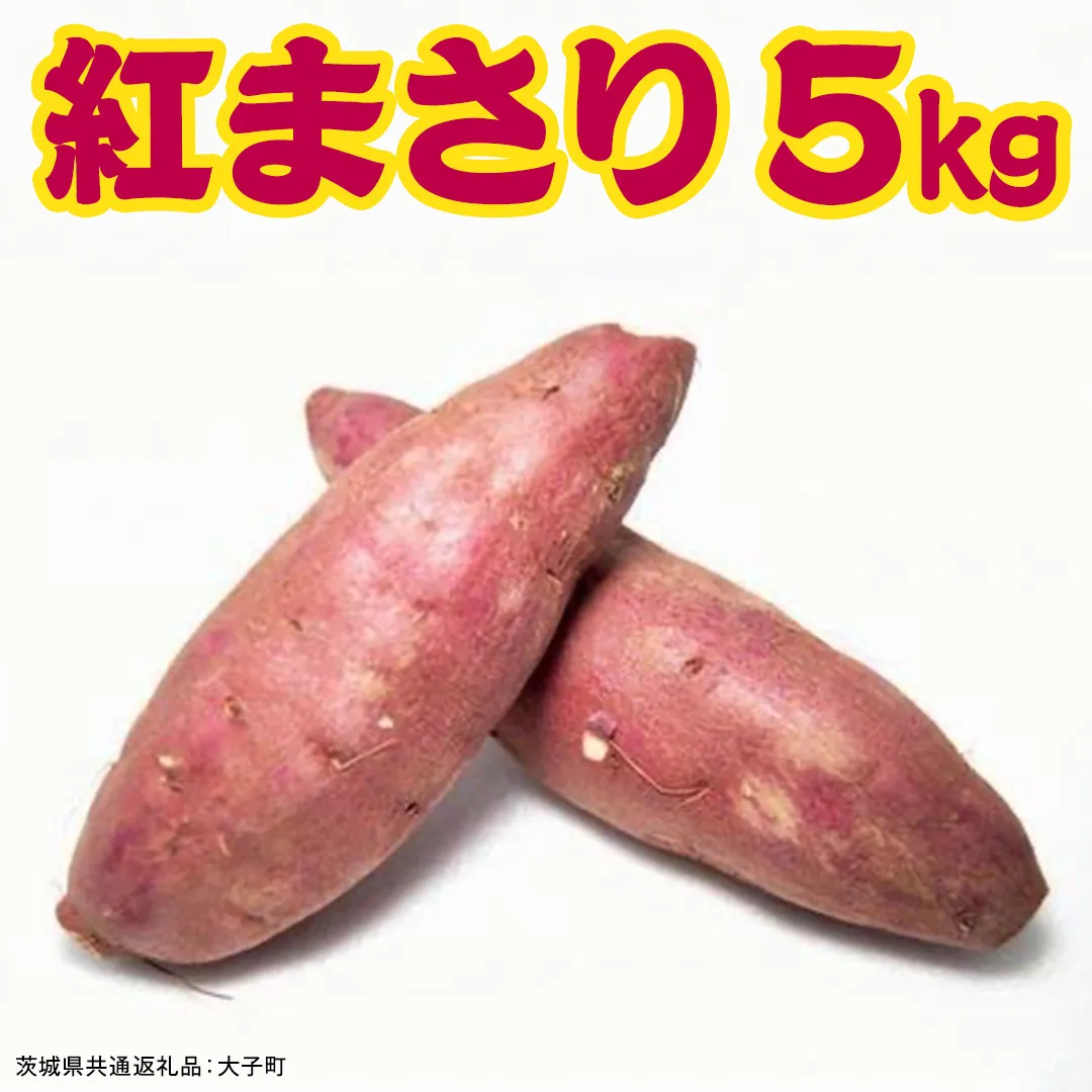 紅まさり 5kg 【 2026年12月上旬発送開始 】 ( 茨城県共通返礼品：大子町 ) さつまいも 焼き芋 しっとり なめらか 冷やし焼き芋 甘い 新芋 希少品種 農家直送 産地直送 [FC203us]