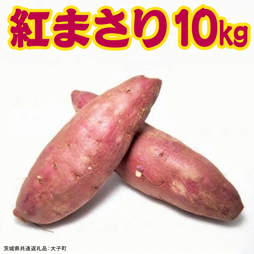 紅まさり 10kg 【 2026年12月上旬発送開始 】 ( 茨城県共通返礼品：大子町 ) さつまいも 焼き芋 しっとり なめらか 冷やし焼き芋 甘い 新芋 希少品種 農家直送 産地直送 [FC204us]
