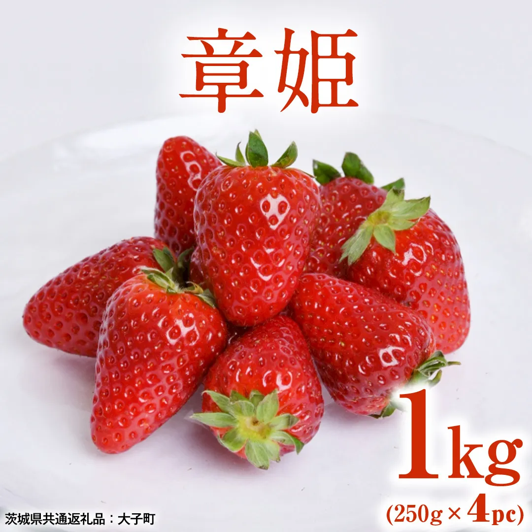章姫 1kg (250g×4pc) 【 2026年12月上旬発送開始 】 ( 茨城県共通返礼品：大子町 ) いちご 苺 イチゴ 大粒 果汁 たっぷり ジューシー あきひめ 農家直送 産地直送 [FC209us]