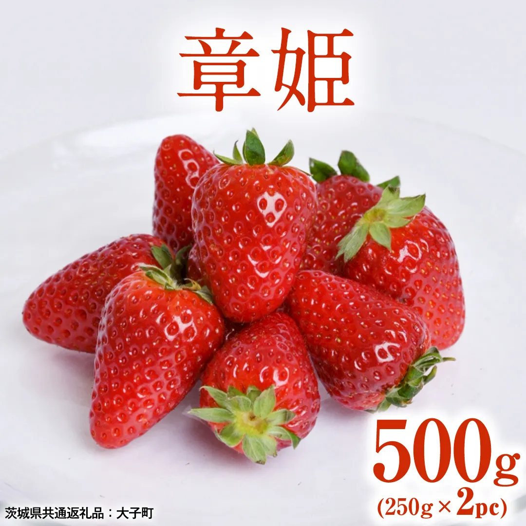章姫 500g (250g×2pc) 【 2026年12月上旬発送開始 】 ( 茨城県共通返礼品：大子町 ) いちご 苺 イチゴ 大粒 果汁 たっぷり ジューシー あきひめ 農家直送 産地直送 [FC210us]