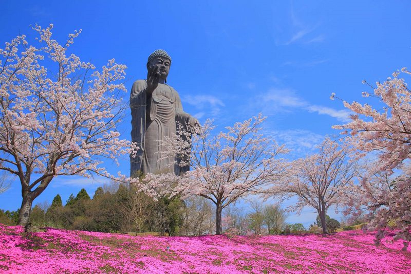 茨城県牛久市