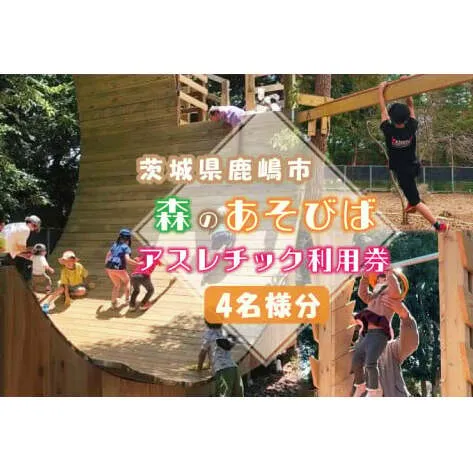 森のあそびばアスレチック利用券　KCE-1