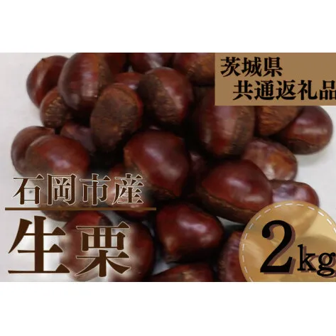【先行予約】【9月下旬より発送】【茨城県共通返礼品】生栗 2kg （石岡市産）（KCM-25）