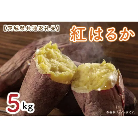 【先行予約】【茨城県共通返礼品】さつまいも 紅はるか 5kg（水戸市・ひたちなか市・鹿嶋市・行方市・大洗町産）（KCM-17）