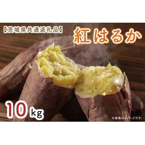 【先行予約】【茨城県共通返礼品】さつまいも 紅はるか 10kg（水戸市・ひたちなか市・鹿嶋市・行方市・大洗町産）（KCM-18）