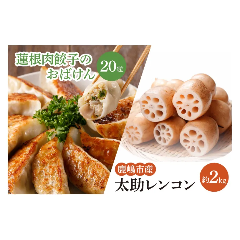 【先行予約】【セット販売】太助レンコン&蓮根肉餃子のおばけん 【2kg&20粒】【野菜 ギョーザ れんこん しゃきしゃき おいしい 食べきり 茨城県 鹿嶋市】（KBU-4）