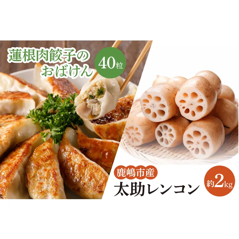 【先行予約】【セット販売】太助レンコン&蓮根肉餃子のおばけん 【2kg&40粒】【野菜 ギョーザ れんこん しゃきしゃき おいしい 食べきり 茨城県 鹿嶋市】（KBU-5）