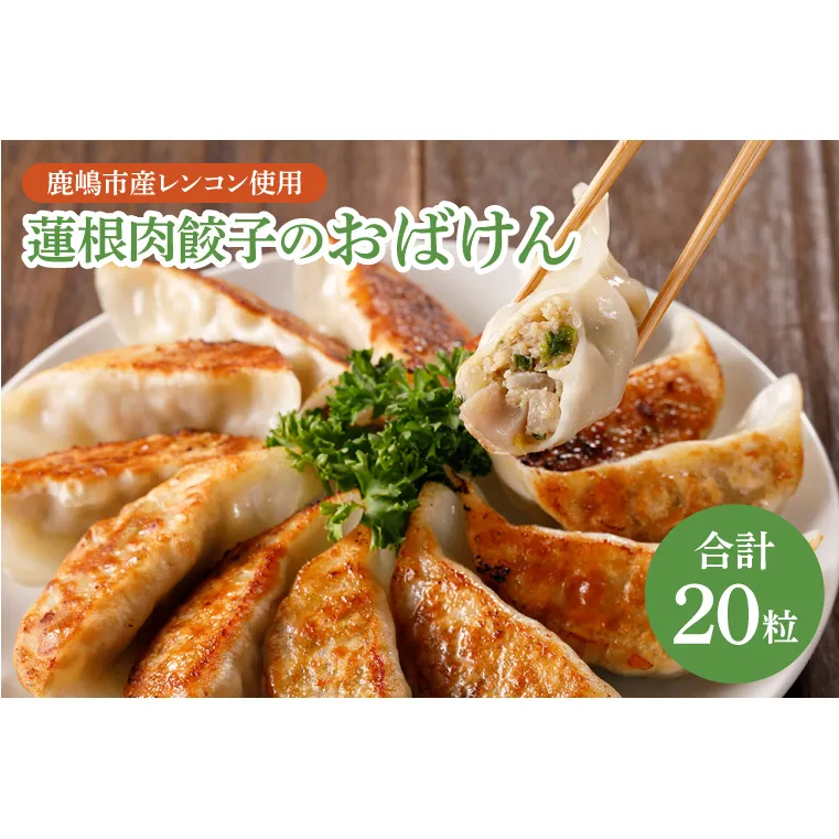 【お試しサイズ】蓮根肉餃子のおばけん【20粒】【野菜 ギョーザ れんこん しゃきしゃき おいしい 食べきり 茨城県 鹿嶋市】（KBU-19）