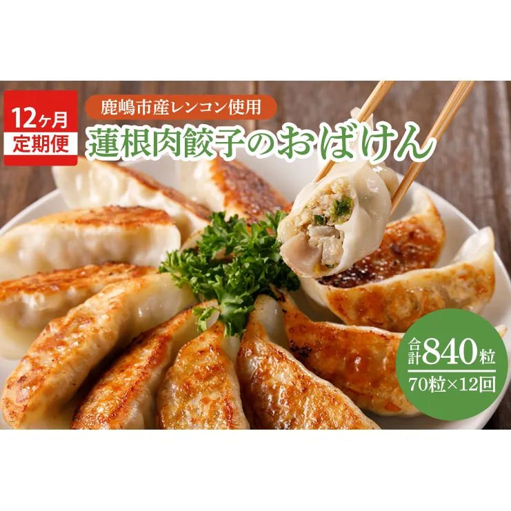 【12ヶ月定期便】蓮根肉餃子のおばけん【70粒×12回】【野菜 ギョーザ れんこん しゃきしゃき おいしい ストック 茨城県 鹿嶋市】（KBU-12）