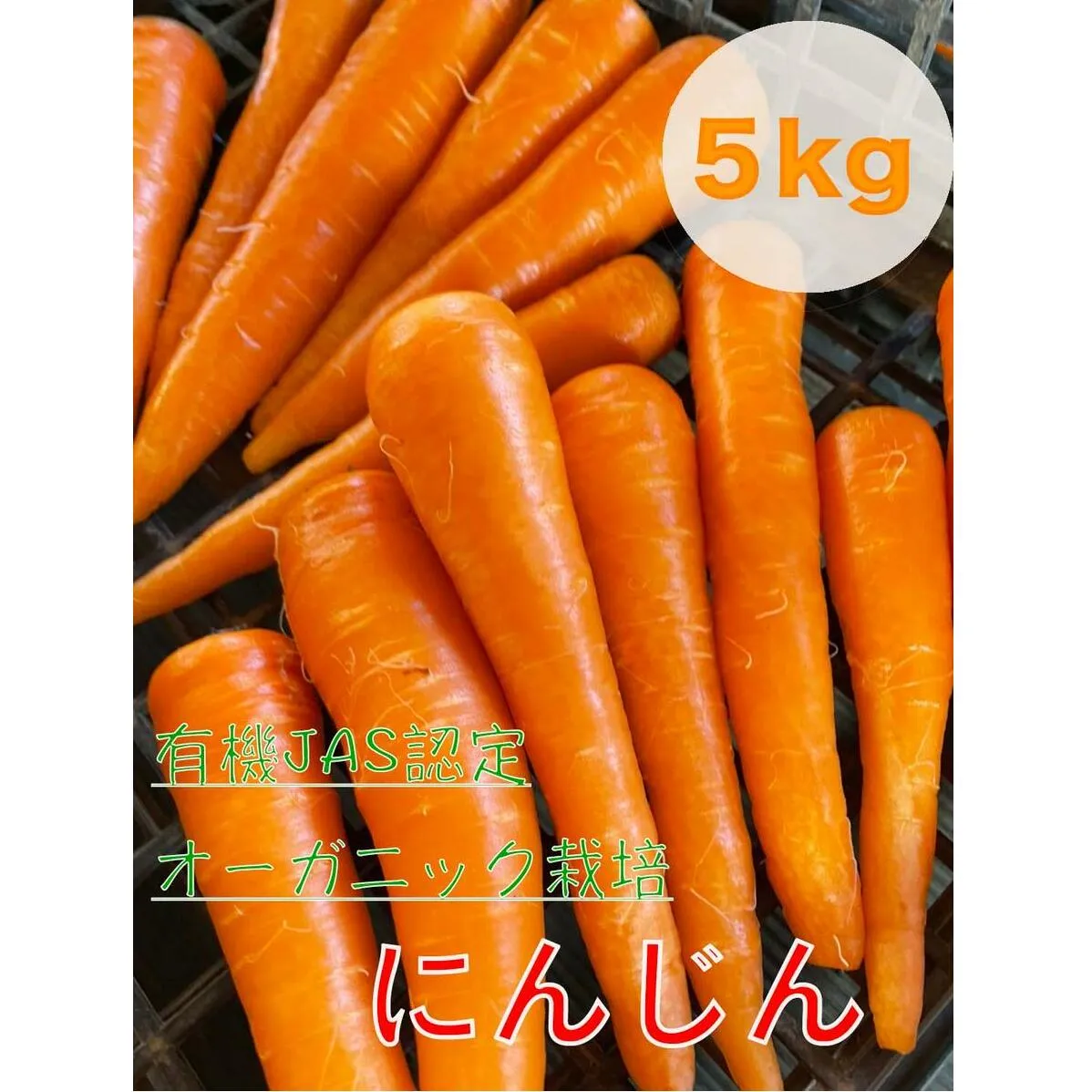 【先行予約】にんじん 5kg 旬の安心野菜【人参 ニンジン 無農薬 有機 栽培 野菜 サラダ 料理 オーガニック 数量 限定 人気 栄養 茨城県 鹿嶋市】 (KAX-15)
