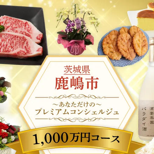 あなただけの～プレミアム コンシェルジュコース～(1000万円)（ZY-12）