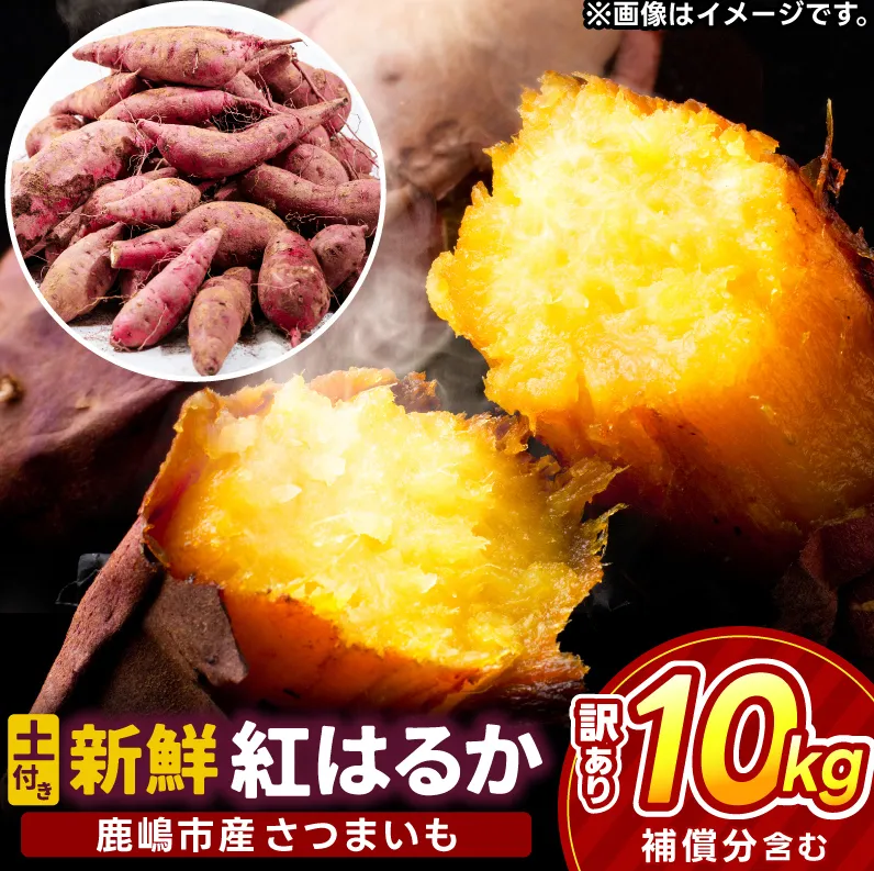 【先行予約】【2025年10月以降発送】【訳あり】 紅はるか さつまいも 計 約10kg (8kg+約25%補償分) 新鮮 土付き【サツマイモ 紅はるか 茨城県 鹿嶋市 10000円以下】（KAM-24）