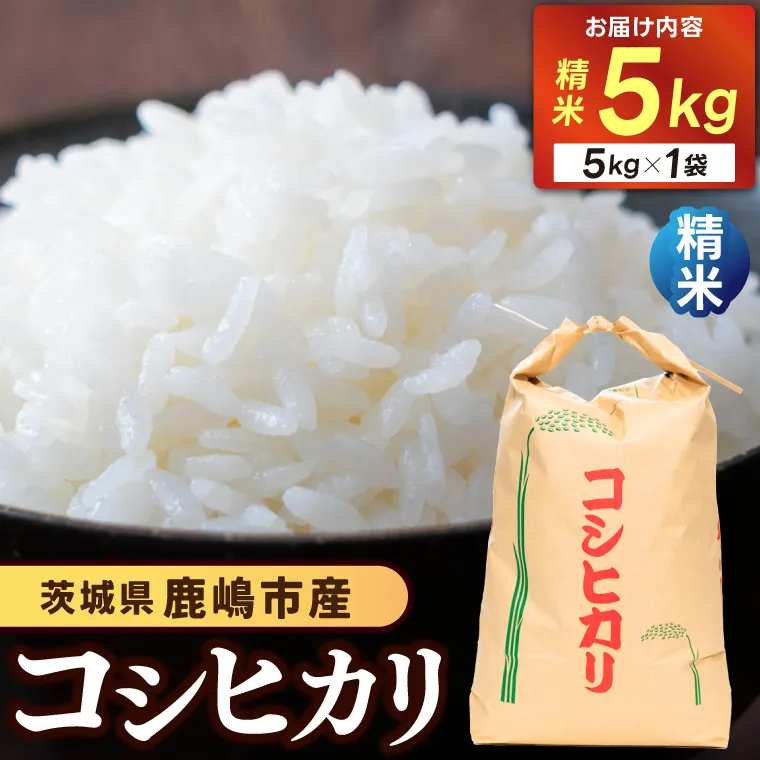 【先行予約】コシヒカリ５kg (精米) 鹿嶋市産【こしひかり 米こめコメ茨城県 鹿嶋市 15000円以内】（KDS-1）