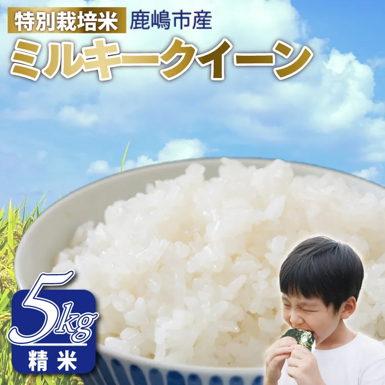 令和7年産 鹿嶋市産 ミルキークイーン(精米)5kg【ミルキークイーン 精米 米 お米 良食味米 茨城県 鹿嶋市 15000円以内】(KAK-6)