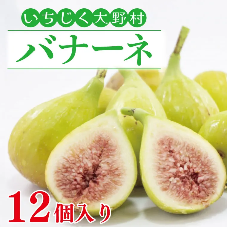【数量限定】【7月～９月発送】いちじく大野村 (バナーネ) 12個入 フルーツ　果物（KAE-4）