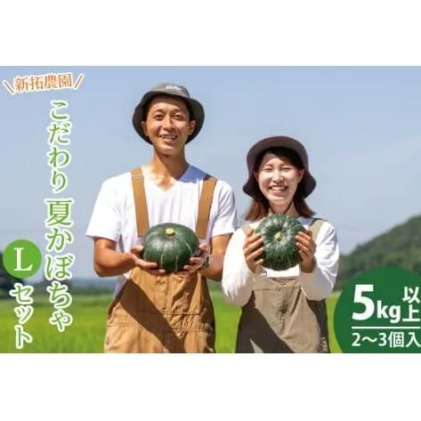 新拓農園のこだわり夏かぼちゃLセット 【7月下旬より順次配送 野菜 やさい カボチャ ほくほく 甘い おいしい パンプキン 国産 産地直送 期間限定 季節限定 茨城県 鹿嶋市】（KDC-4）