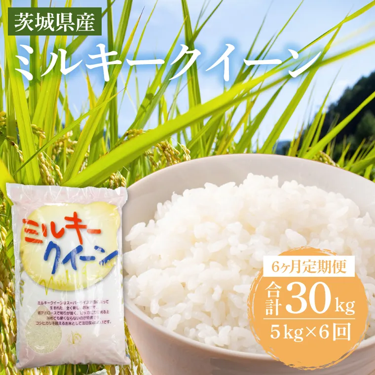 【6ヶ月定期便】茨城県産ミルキークイーン 5kg (5kg×1袋) 【米 お米 白米 精米 おにぎり 茨城県産 鹿嶋市 国産 送料無料】 (KY-25)