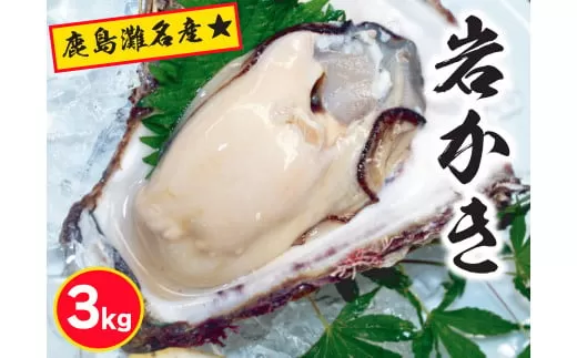 鹿島名産★天然岩牡蠣（約3kg）（KBL-8）