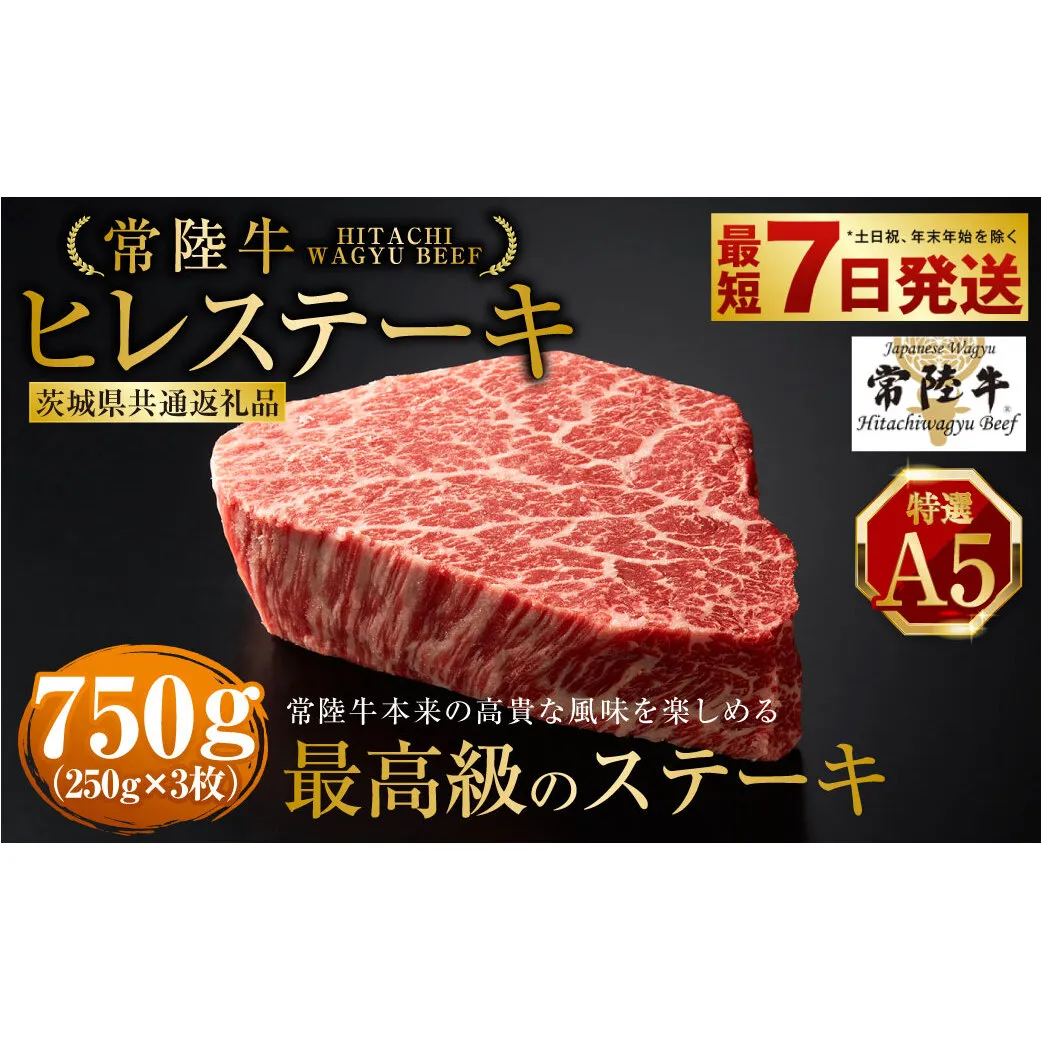 【常陸牛特選A5】ヒレステーキ250g×3枚（茨城県共通返礼品）