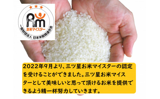 業務用ブレンド米 10kg×2【お米・業務用ブレンド米・20kg