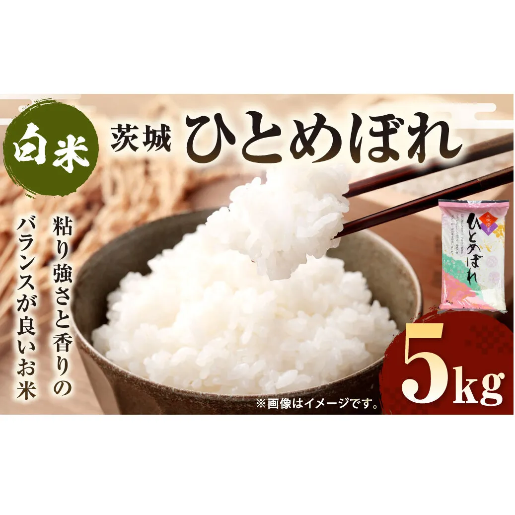 令和7年産 茨城ひとめぼれ 5kg 1袋 ひとめぼれ 白米 精米 ごはん お米 国産 茨城県産 守谷市 送料無料
