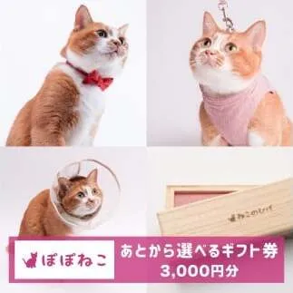 ぽぽねこギフト券（Eメールタイプ）3,000円分「共通返礼品」 デジタル商品券 オンラインショップ 電子マネー 猫 ネコ