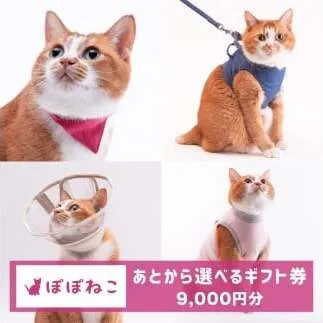 ぽぽねこギフト券（Eメールタイプ）9,000円分「共通返礼品」 デジタル商品券 オンラインショップ 電子マネー 猫 ネコ