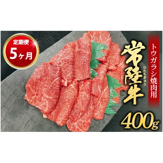 【定期便 5ヶ月】【希少部位】常陸牛トウガラシ焼肉用400g（茨城県共通返礼品 茨城県産）
