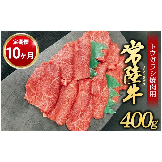 【定期便 10ヶ月】【希少部位】常陸牛トウガラシ焼肉用400g（茨城県共通返礼品 茨城県産）