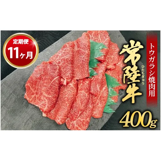 【定期便 11ヶ月】【希少部位】常陸牛トウガラシ焼肉用400g（茨城県共通返礼品 茨城県産）