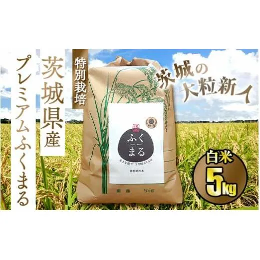 ☆茨城の大粒新人 プレミアムふくまる特別栽培米 5kg【白米】◆