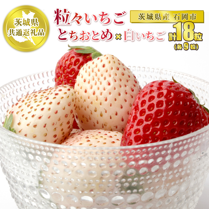 7/30必着】いちご様 オーダーページ （金井いちご園のいちご（やよい  