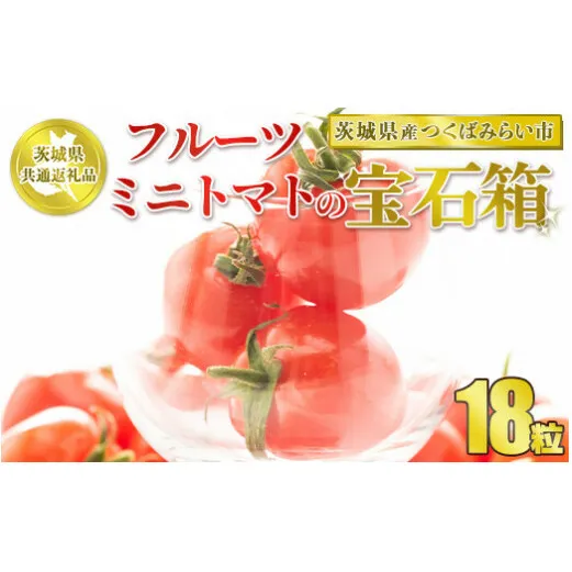 【先行予約】【茨城県共通返礼品　つくばみらい市産】フルーツミニトマトの宝石箱　18粒
※2026年1月～3月下旬頃に順次発送予定