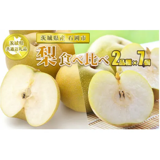 【先行予約】梨2品種【茨城県共通返礼品 石岡市】 梨 なし 果物 フルーツ 2品種×7個 合計14個 お取り寄せ
※2025年8月下旬～10月下旬頃に順次発送予定