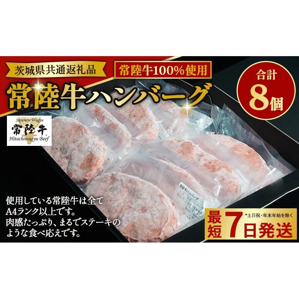 【常陸牛100%】ハンバーグ8個（ソース付）（茨城県共通返礼品）