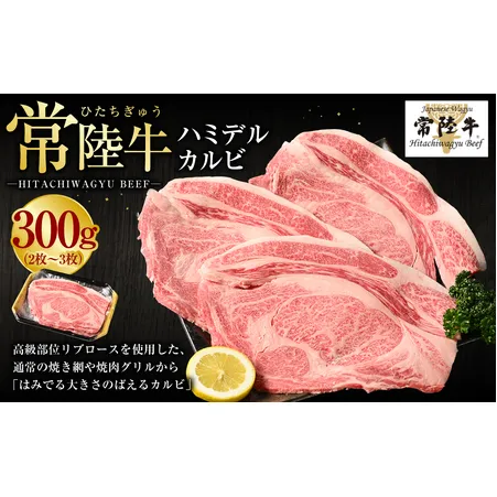 【常陸牛】ハミデルカルビ300g（2～3枚）（茨城県共通返礼品 茨城県産）