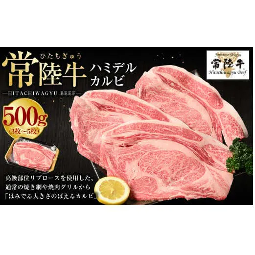 【常陸牛】ハミデルカルビ500g（3～5枚）（茨城県共通返礼品 茨城県産）
