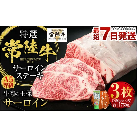 【特選】常陸牛（ひたちぎゅう） A5等級 サーロインステーキ 3枚（250g×3） 計750g（茨城県共通返礼品 茨城県産）