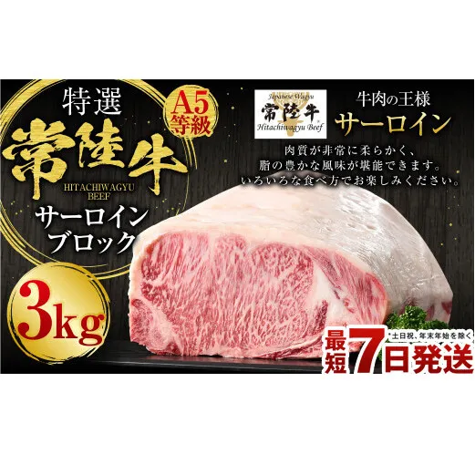 【特選】常陸牛（ひたちぎゅう）A5等級 サーロインブロック 3kg（茨城県共通返礼品 茨城県産）