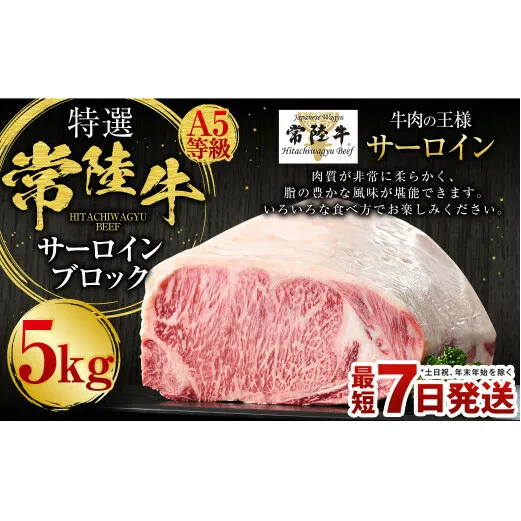 【特選】常陸牛（ひたちぎゅう）A5等級 サーロインブロック 5kg（茨城県共通返礼品 茨城県産）