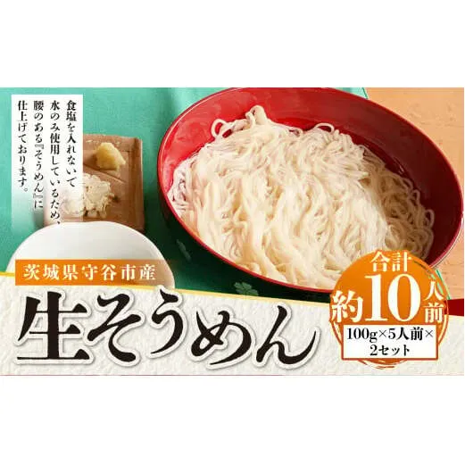 生そうめん 100g×5人前×2セット | そうめん 10人前 10食 セット 麺 麺類 辛汁 冷凍 茨城県 守谷市