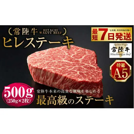 【常陸牛特選A5】ヒレステーキ250g×2枚 | 計500g 牛肉 肉 お肉 ヒレ ステーキ 冷凍 茨城県 守谷市